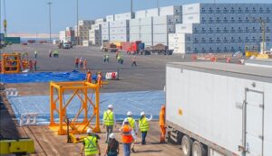 MTC Se inició en Paracas el primer embarque de uva en buques con cámaras refrigeradas con destino a EE.UU.