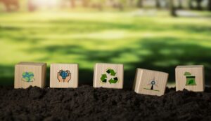 Sharf se convierte en la primera empresa peruana logística en alcanzar la Certificación B