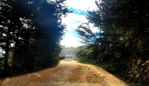 Cajamarca inicia asfaltado de carretera a Chamis con inversión de S 27 millones