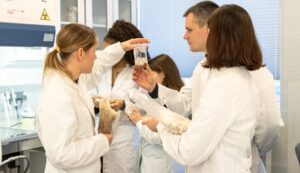 Adiós al cemento en las carreteras Dinamarca propone un nuevo material aglutinante 100 % biológico a base de hongos