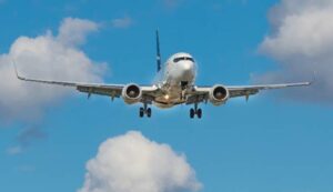 MTC exhorta a gobiernos locales a eliminar focos de atracción de fauna en las inmediaciones de aeropuertos a nivel nacional