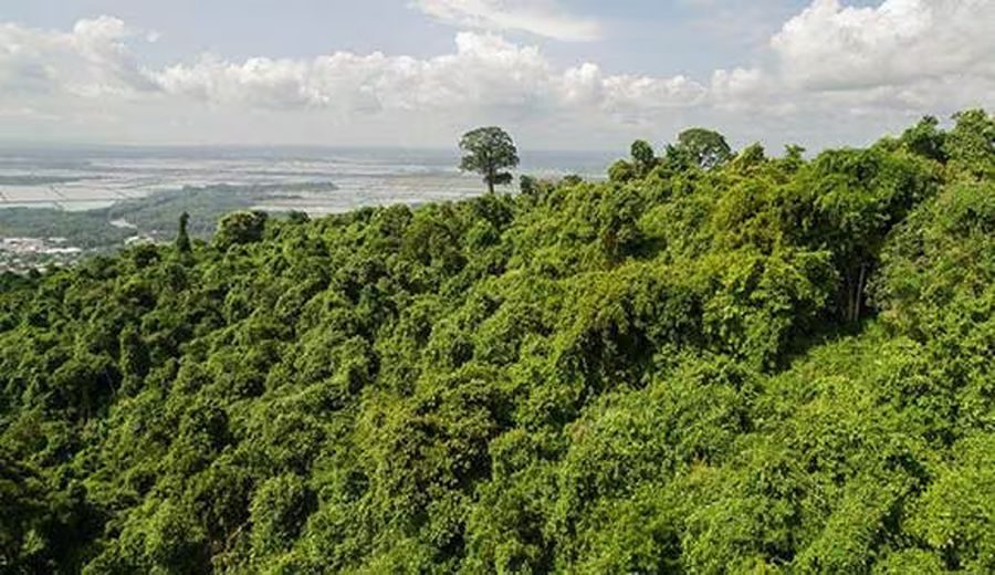 Controversia Ambiental: Autopista en Guayaquil desafía la Protección de Cerro Blanco