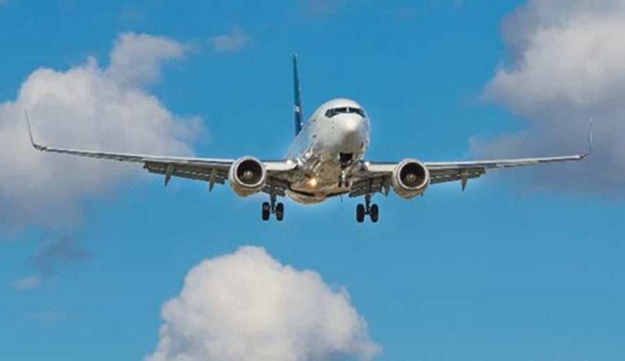 MTC exhorta a gobiernos locales a eliminar focos de atracción de fauna en las inmediaciones de aeropuertos a nivel nacional