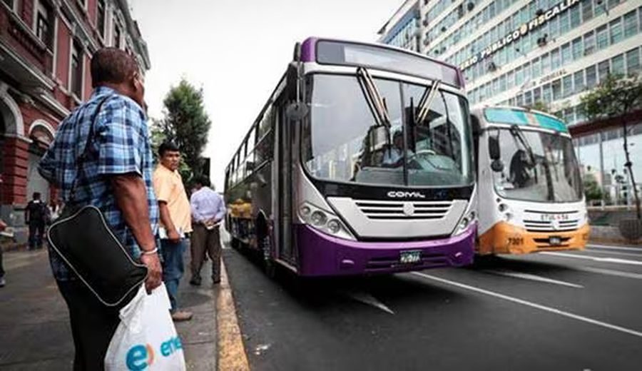 Paro de Buses en Lima: Incertidumbre ante la Suspensión del Corredor Morado