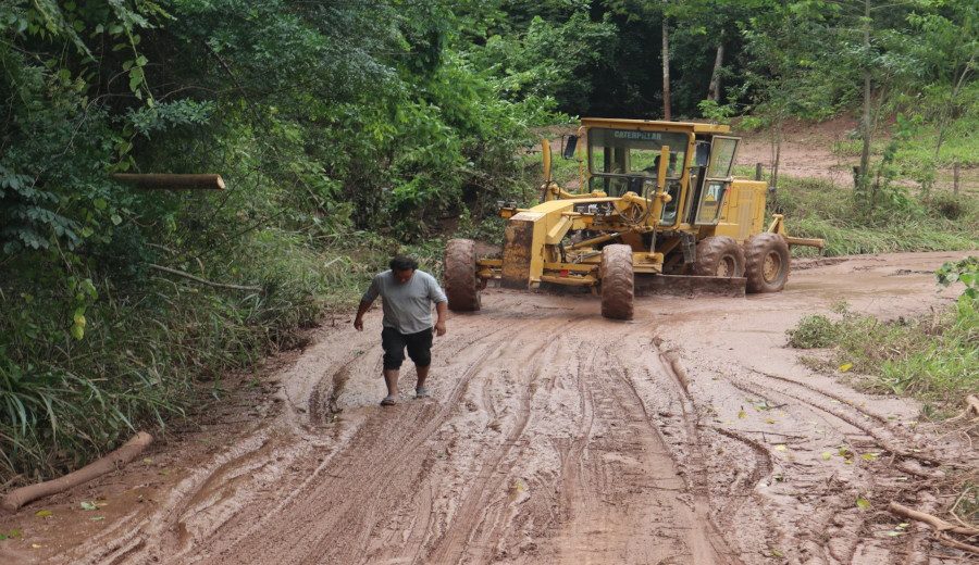Lluvias intensas en la provincia de Picota, región San Martín, causaron cuantiosos daños en viviendas y en la infraestructura pública como caminos vecinales